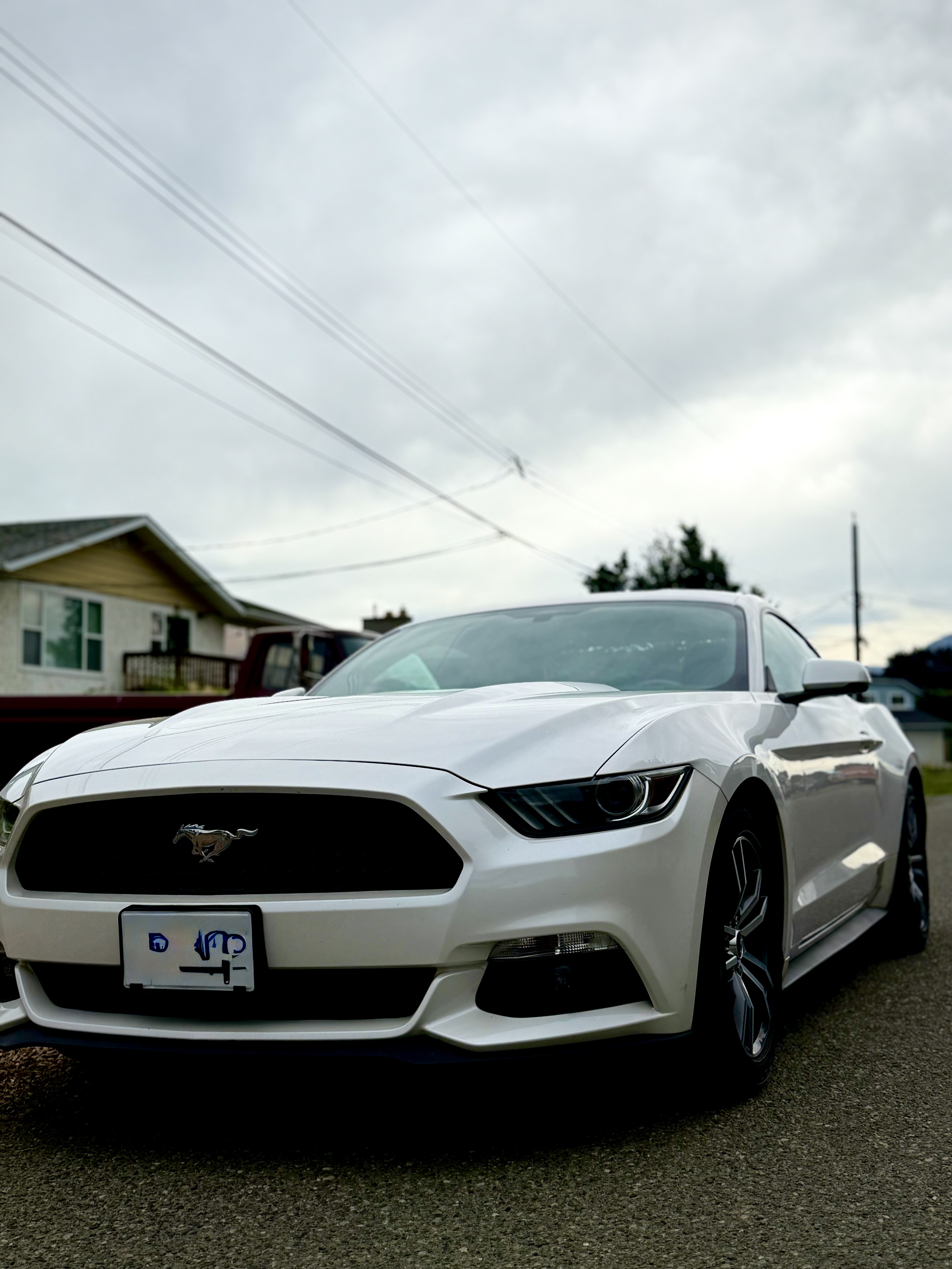 Exterior Treatment - 2